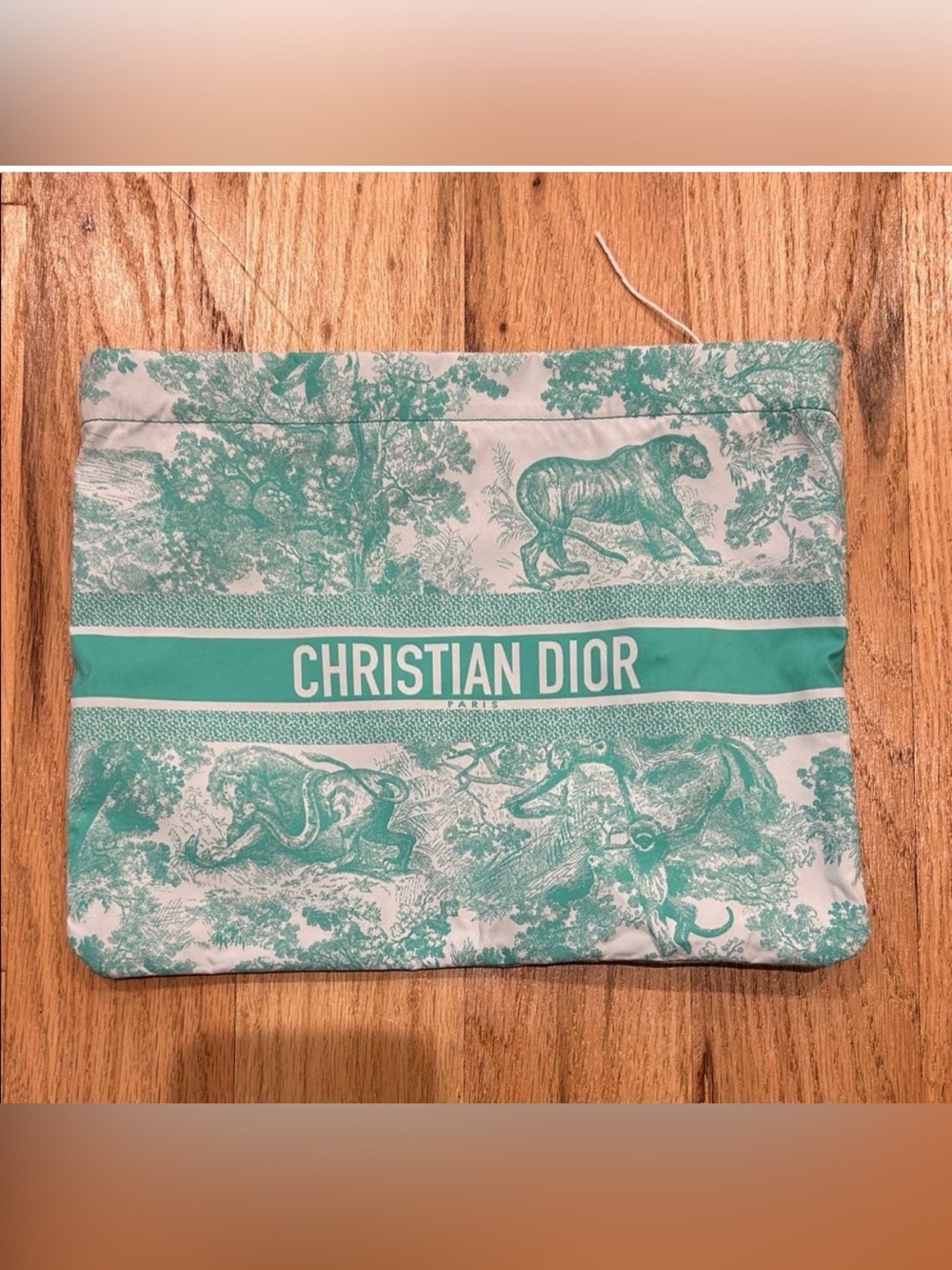 Dior Pouch